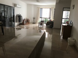 The Morningside (D9), Apartment #212841771